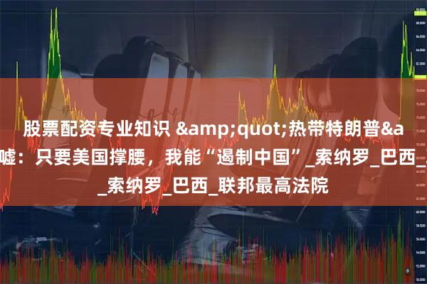 股票配资专业知识 &quot;热带特朗普&quot;吹嘘：只要美国撑腰，我能“遏制中国”_索纳罗_巴西_联邦最高法院